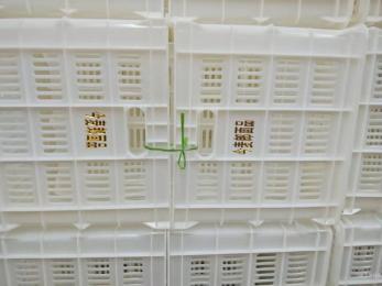 今麥郎、丹尼斯塑料筐